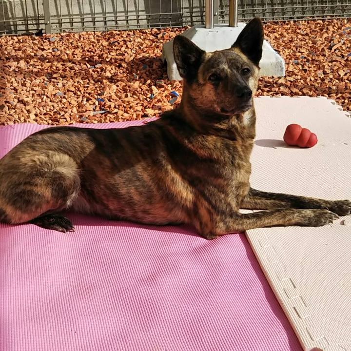 Ecf5f67b e494 4328 a433 9a1a0f4055f2 1546402105633