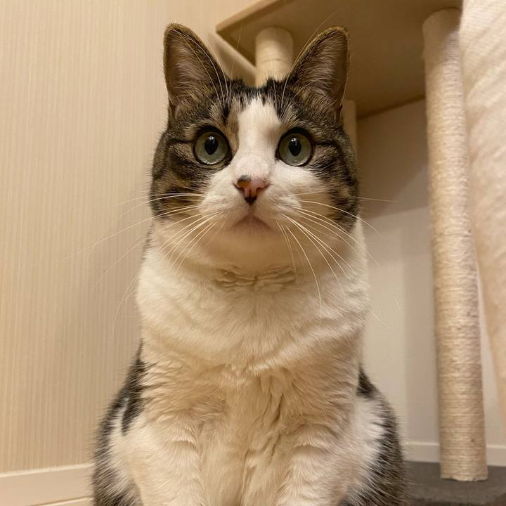 Ecf5fe94 290d 48be 8eb5 463d65cba619 1607599437976