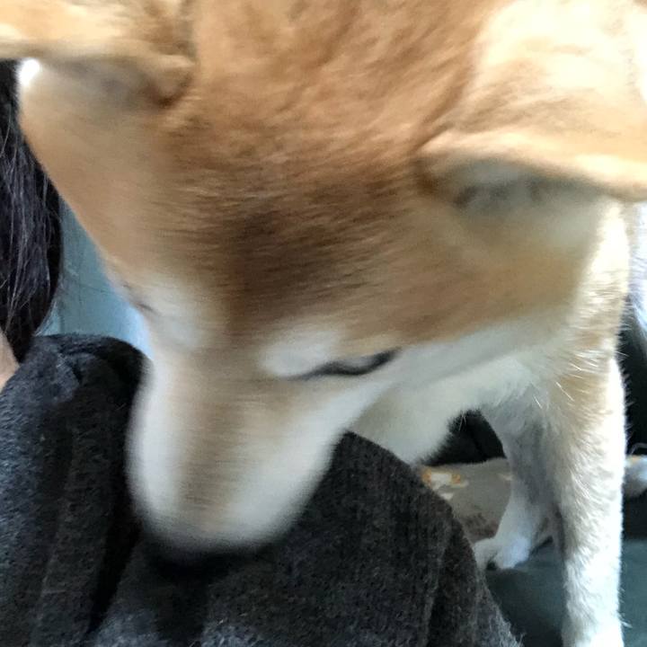 Ecf6078a 4b70 4265 8534 9d670d4ee76c 1608902094857