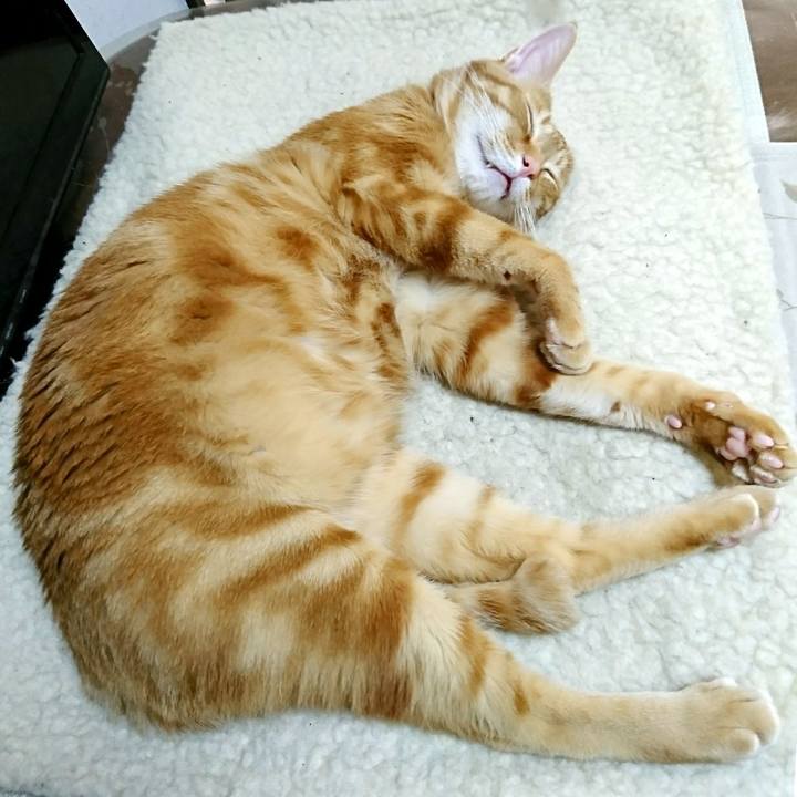 Ecf61316 0c31 45eb 9c2b fb1dd855ac3c 1550586757775