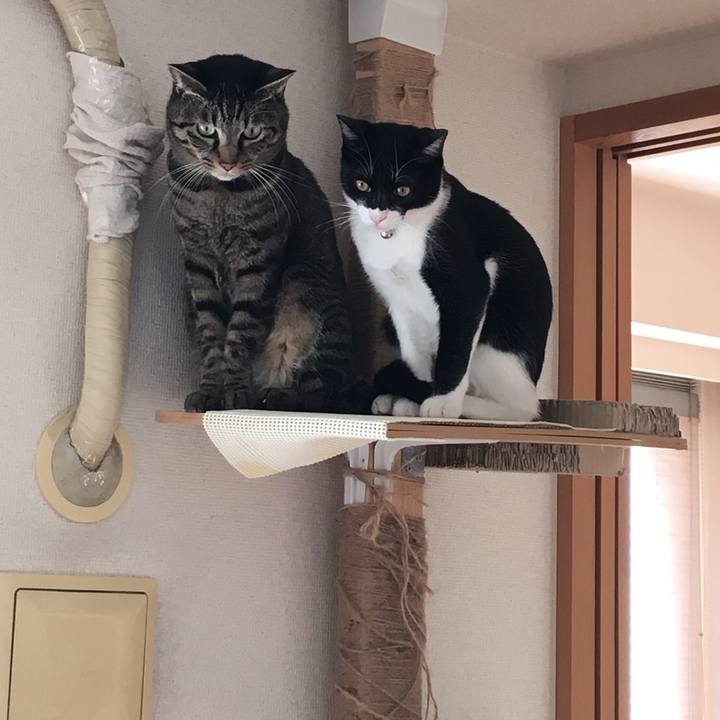 Ecf63353 77e7 4f80 be51 80de44cd2799 1519350385475