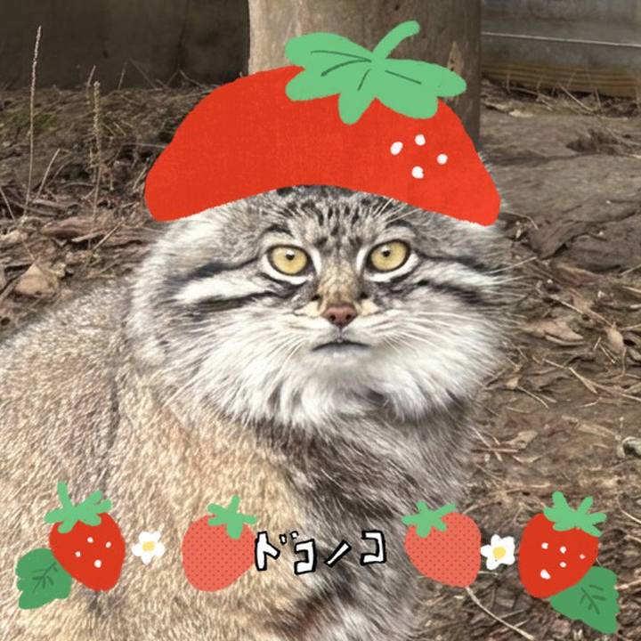 Ecf6418e 0529 4e4e 8ece 7a16d590f725 1775866852398