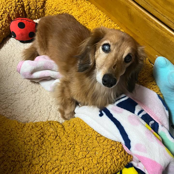 Ecf66a30 693d 428e a479 2654bb78c9a5 1672230537878