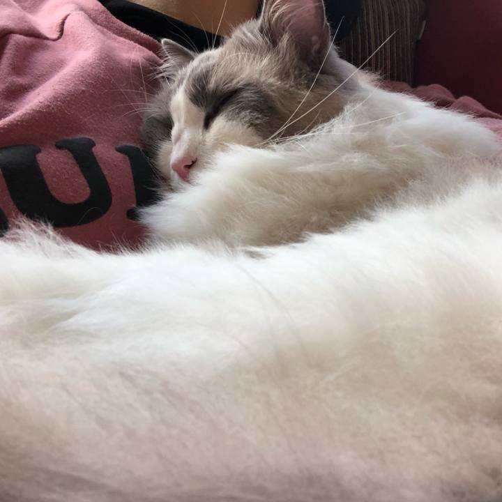 Ecf67ce6 885f 4962 8bb2 3d9088b2754c 1580223795191