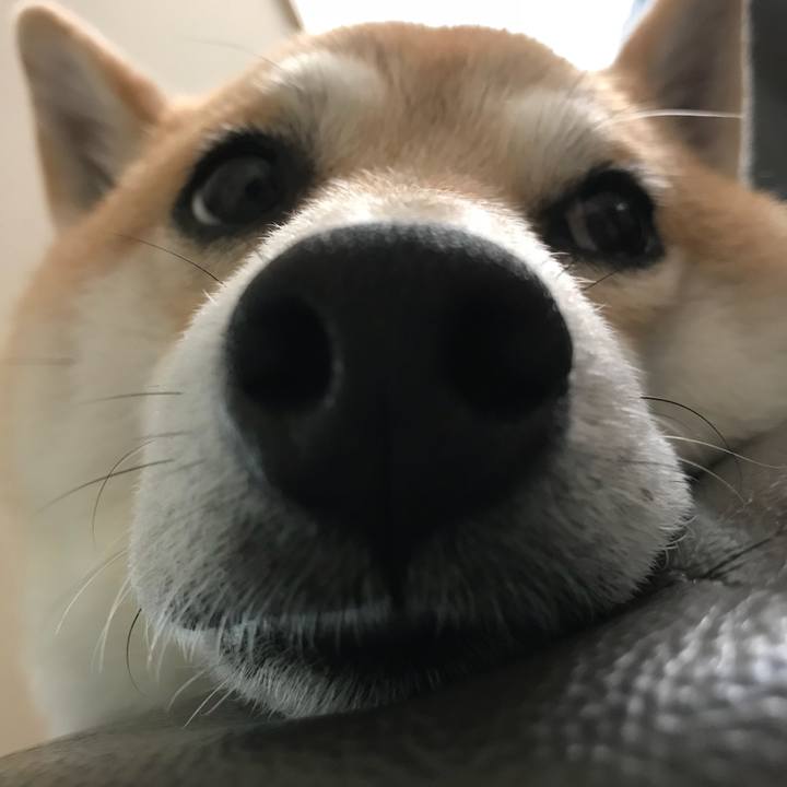 Ecf6ae71 241c 4b13 8eb3 c65495303d6e 1530158845086