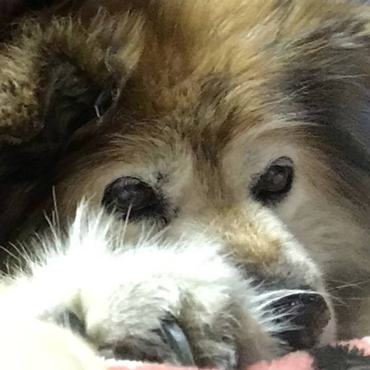 Ecf6d7a7 86a6 4e0c 9906 88e14eb3438c 1568601079375