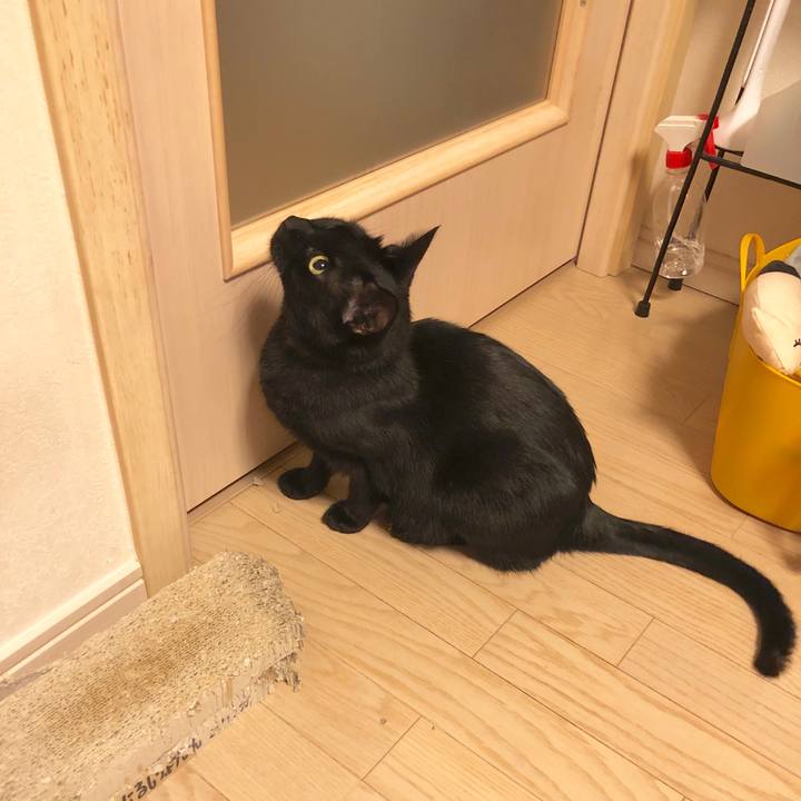 Ecf6decb f6da 4088 9bb3 40627f4d6441 1580209679836