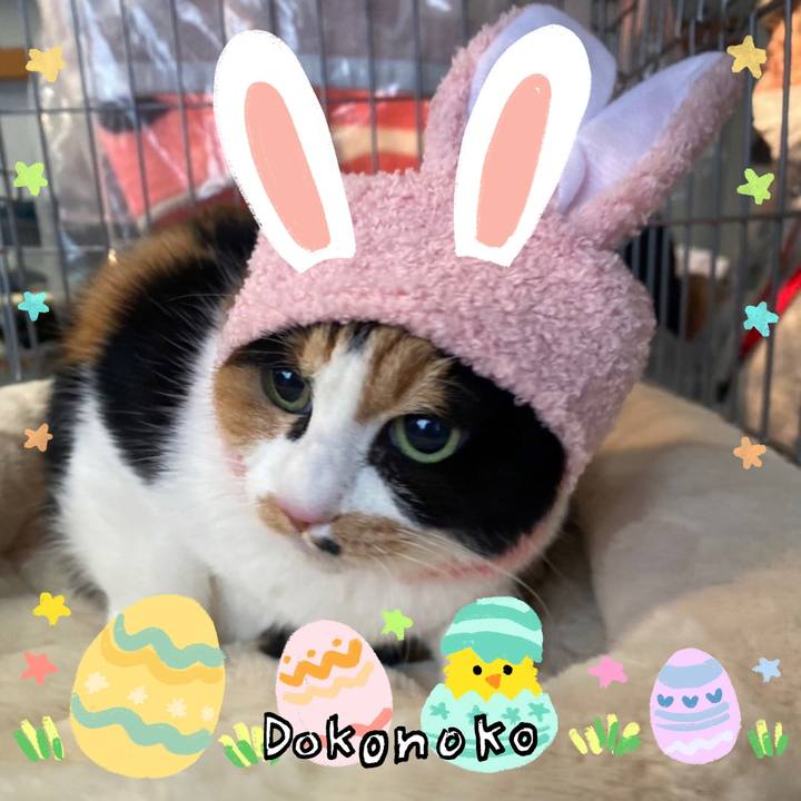 Ecf6df86 220f 4672 9274 a549a1a65062 1712348362278