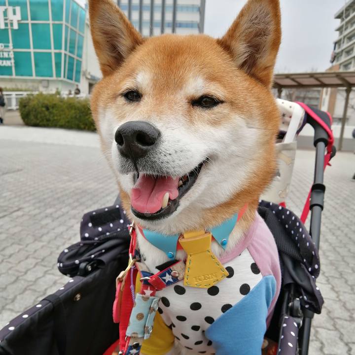 Ecf6fc60 84cf 4552 abaa 106f85373cf0 1678855307189