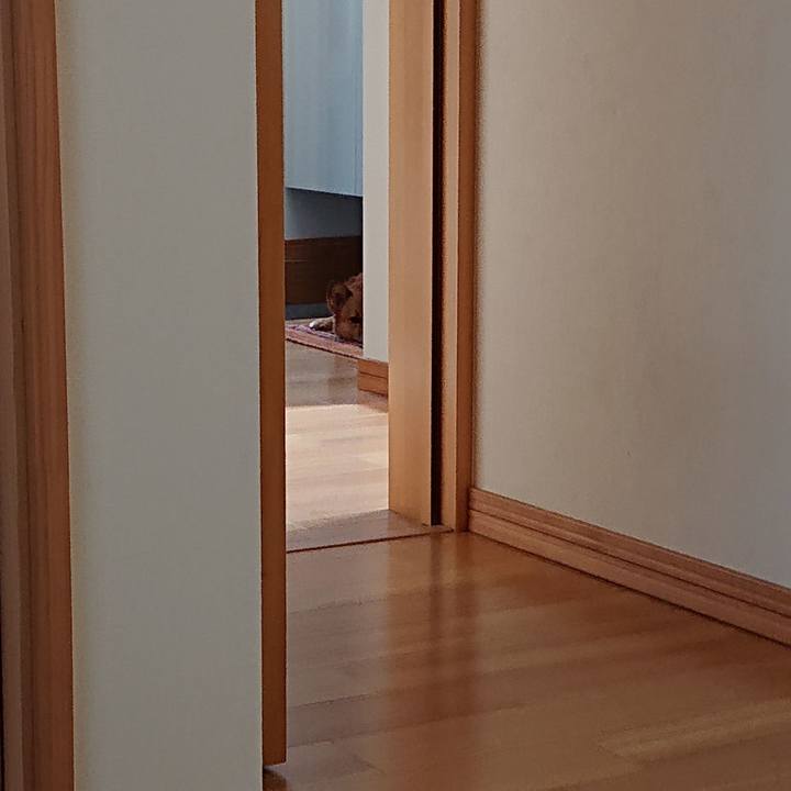 Ecf6fd3f 0673 49bd ad20 569e736ae8bc 1555728080836