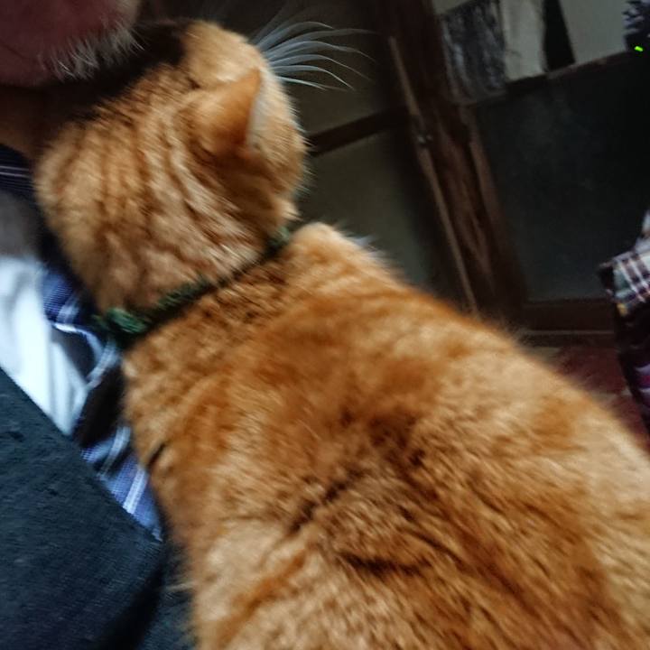 Ecf70811 fd9a 4639 915e 20873b0afa15 1581069955680