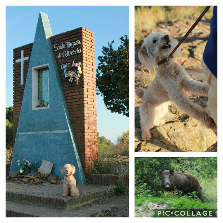 Ecf70f90 20a8 4af9 aeb3 b19c9fe022d5 1592298762394