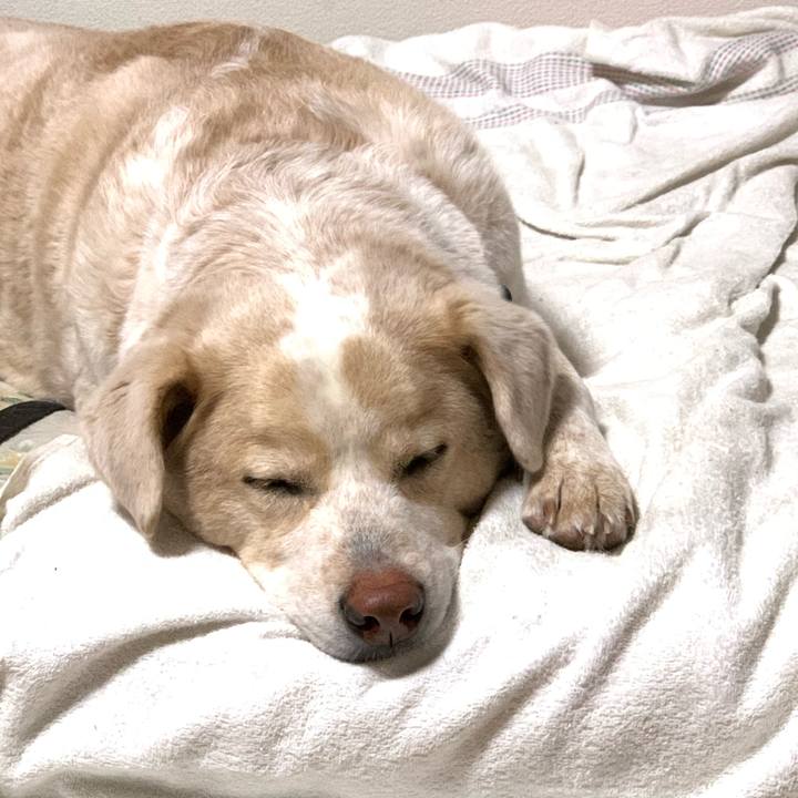 Ecf72fb6 42ce 4567 b967 2f0e0bf15aff 1579874925656