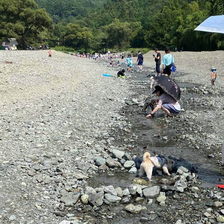 Ecf734e4 54bc 4416 878b a8d0ae105522 1689576120817