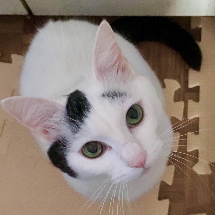 Ecf74a1f 50b5 4e25 b1ec 443bf5f30f54 1584948133321