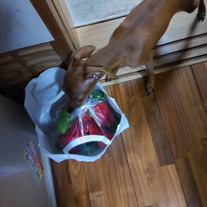 Ecf80b69 1ede 490c 92f4 c2b15fa80a7c 1670994677515