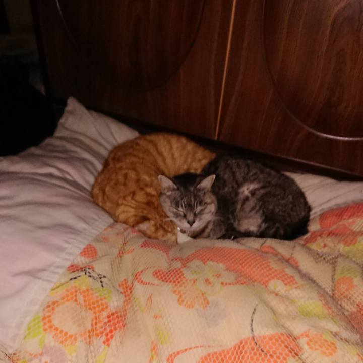 Ecf810a6 3aec 4b68 9399 2f694cffc2d5 1581005673926