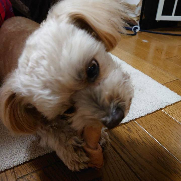 Ecf81bc0 7283 4956 9fb8 06313f42b7f0 1609047167718