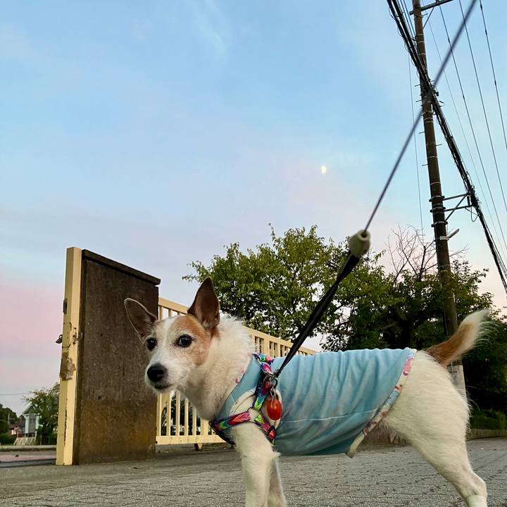 Ecf81f4a 3bd2 461e b0fa 02d3de61f74f 1728689400278