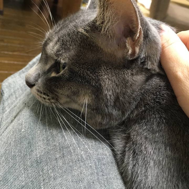 Ecf82090 a6ae 4cd7 9abf 0f83d0a88227 1537281598363