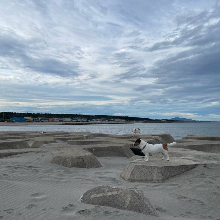 Ecf825b4 0be3 49bb aed0 f2885557805d 1729639888727