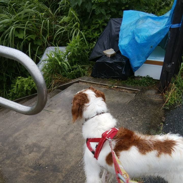 Ecf83b88 21e3 4551 977e 4373e26419d7 1530866929237