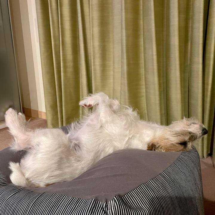 Ecf85e53 5e9c 4203 8531 1a8290ae1bcd 1680808047181