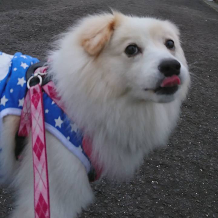 Ecf8755e b35f 4eed 832b 8177f2439507 1508190404983