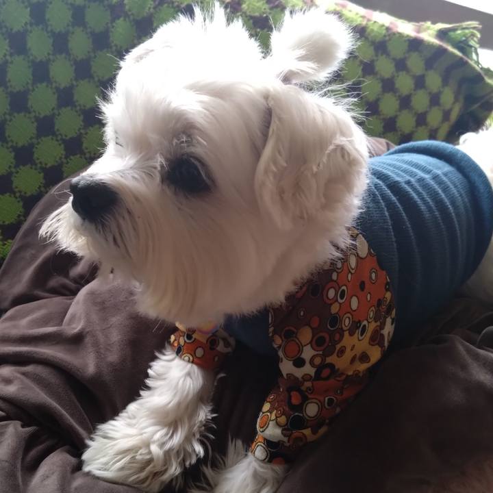 Ecf8bdae a028 4308 aaf6 cc893fe567fe 1702291575518