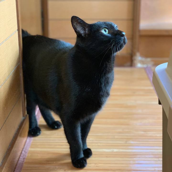 Ecf8caa2 a525 4a3c b5c5 732ed223bd7a 1570584381184