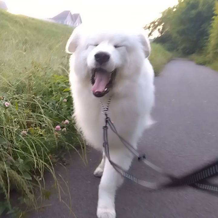 Ecf8ff66 d90d 4f35 b530 40d1af9ee53a 1685050872900