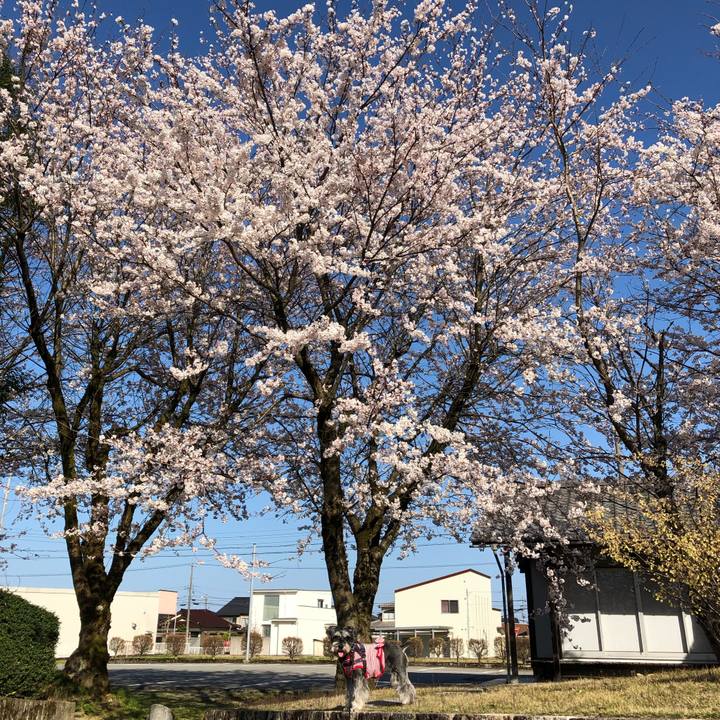 Ecf94bc9 0089 4c5c 9616 970e9bca7f99 1649469498080