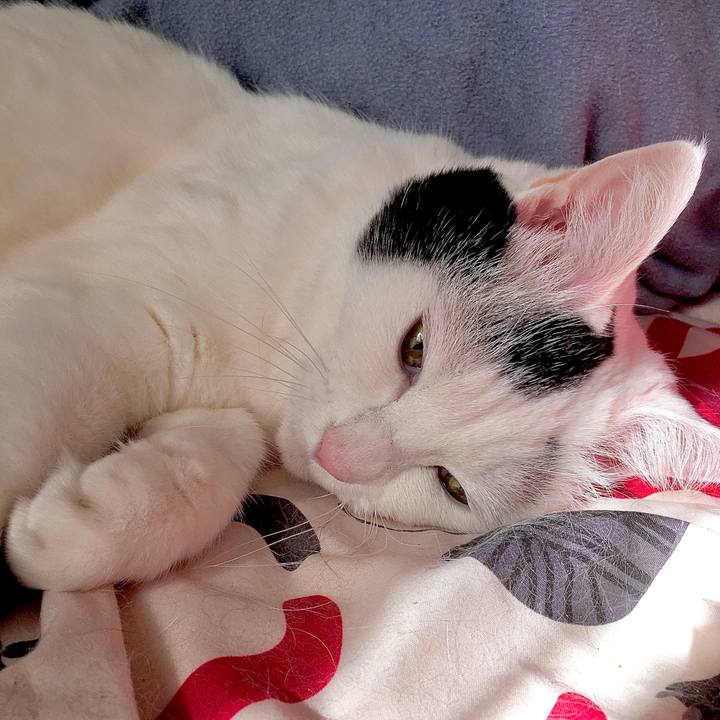 Ecf9612e ae31 42ab b33a b48e6fc7ff85 1580474102348