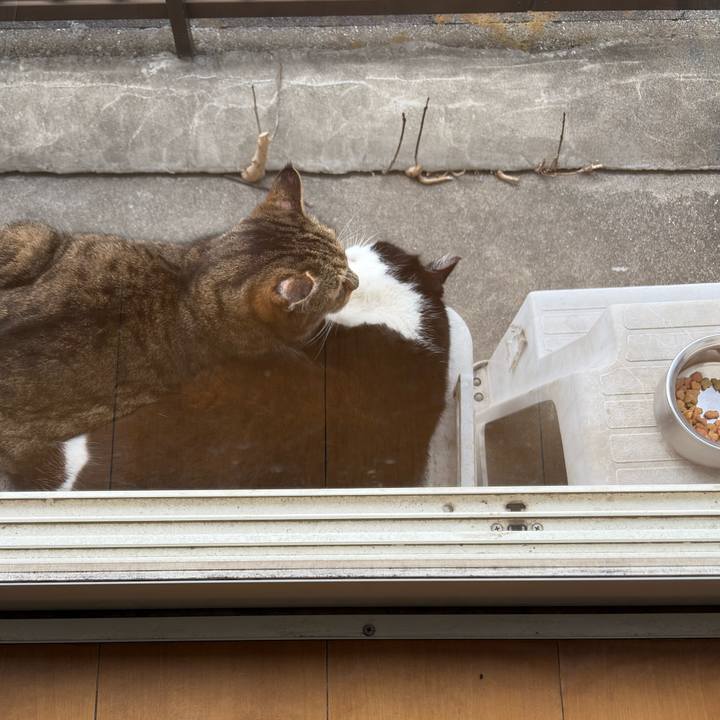 Ecf9640f d9a5 43fa bea3 d64fcea3bccc 1771902834592