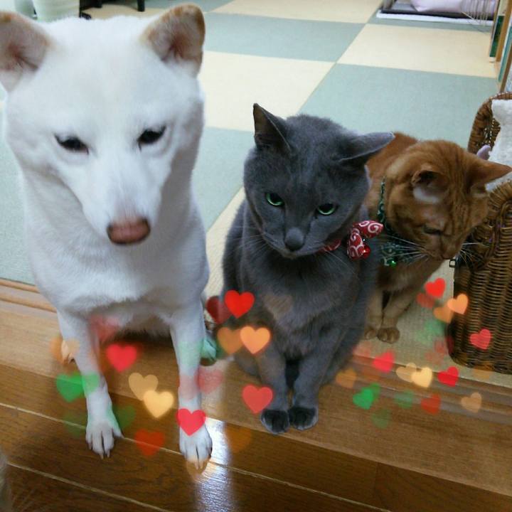 Ecf97ff8 d519 493c ac2a 16638ecc6e52 1546215452068