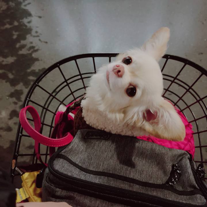 Ecf99a94 9600 43f1 bc2a 13c34c20232c 1699751547708