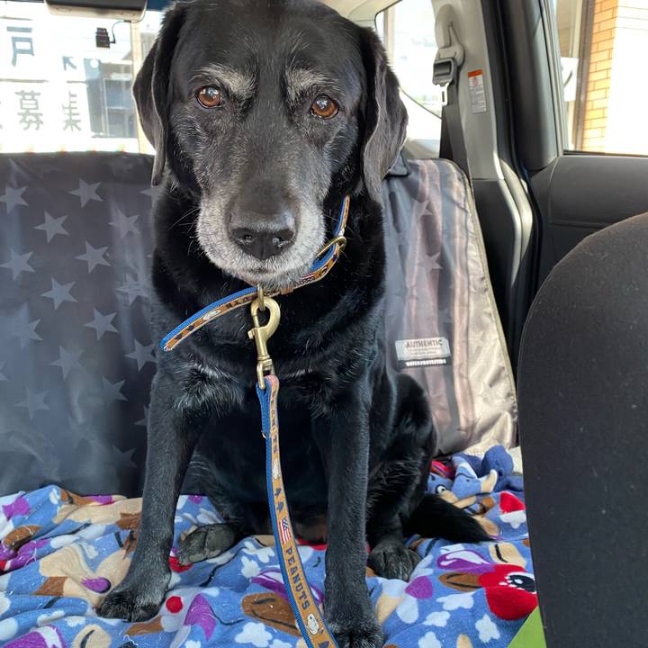 Ecf9ab41 b4c6 4141 81cf 7bafbb16a578 1646109535246