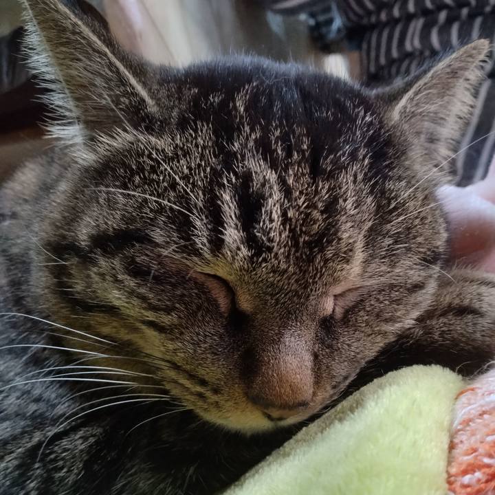 Ecf9b584 30b0 4345 bd00 973d4297fabc 1677315331336