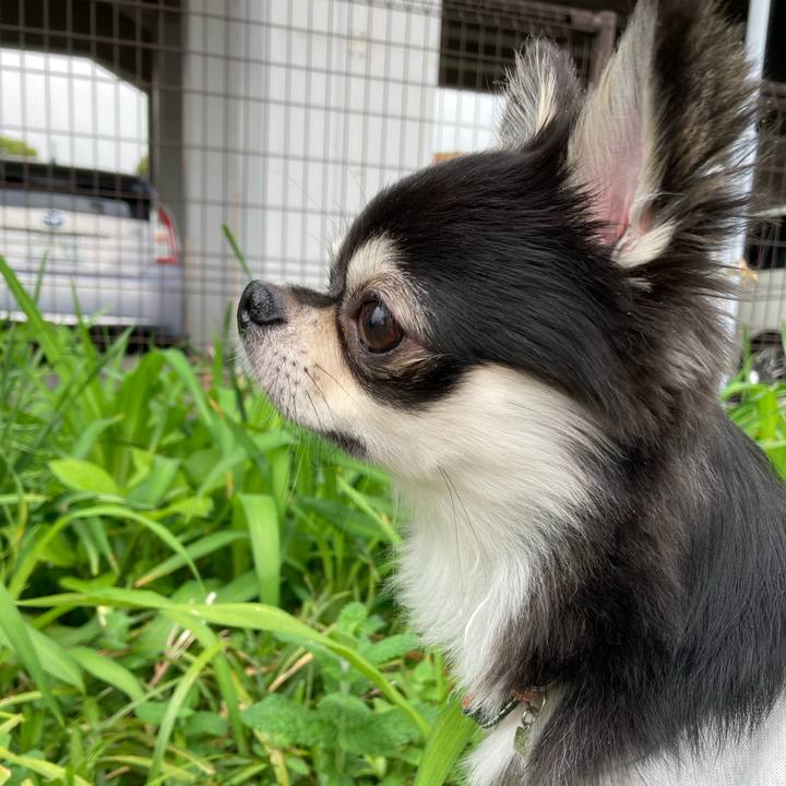 Ecf9c486 00cb 415d b799 a2363bccce7b 1618636929169