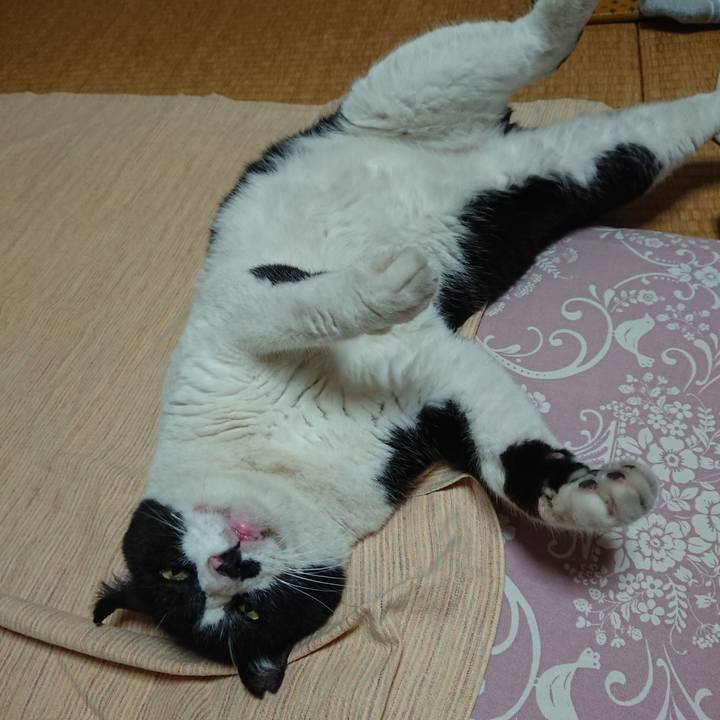 Ecf9ea2b cf75 4cd9 961d 8bb18ed248d3 1626604838369