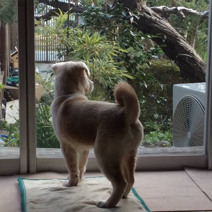 Ecfa2317 be4c 4502 a4c5 f93bb113481b 1567697686897