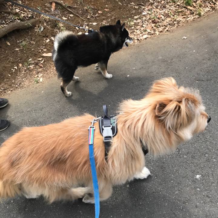 Ecfa2c59 fc8d 4c85 aaf5 0b6cc9409e7e 1644302215461