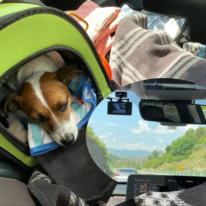 Ecfa2d23 b46d 4afa a522 17ca17d9bb15 1627000238480