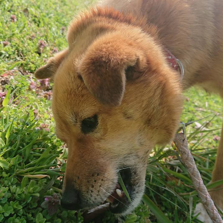 Ecfa3c69 6e5c 4551 92be 085dc420ac96 1586181820964