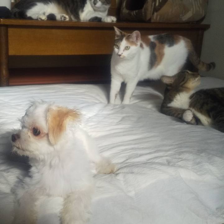 Ecfad08d d3be 4c02 9d3f 5c001d7a479d 1693262422557