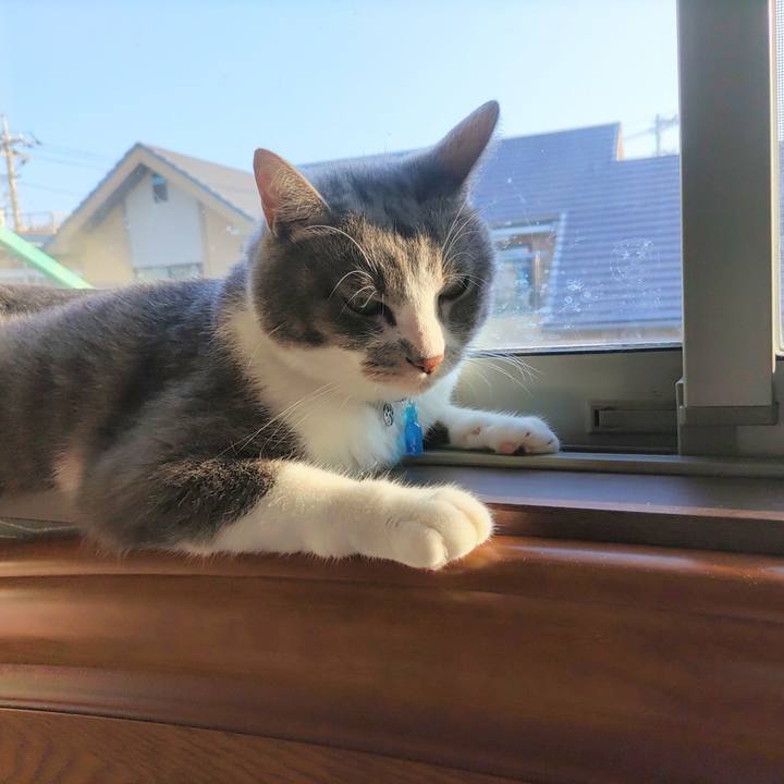 Ecfadcdb 5929 44b7 92d1 9b19f4f8dc85 1689114254504