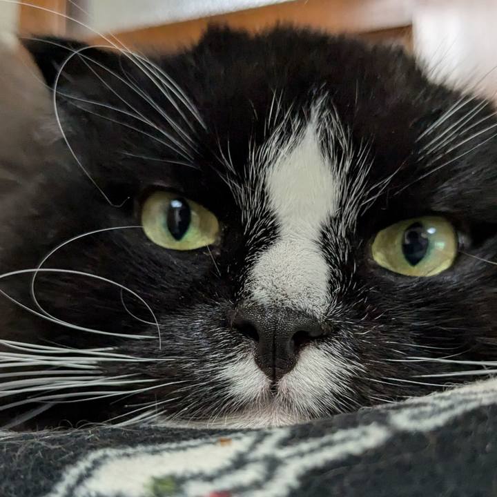 Ecfae515 eade 4872 9156 e2c06c15c7c3 1732448332392