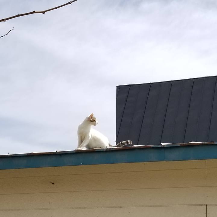 Ecfaf9a2 9076 469c a9d3 71fb1d2a0f1f 1620538111497