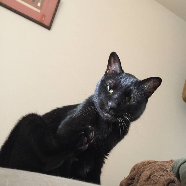 Ecfaffcd 703b 43c3 b443 18db7fe60b20 1592804214783