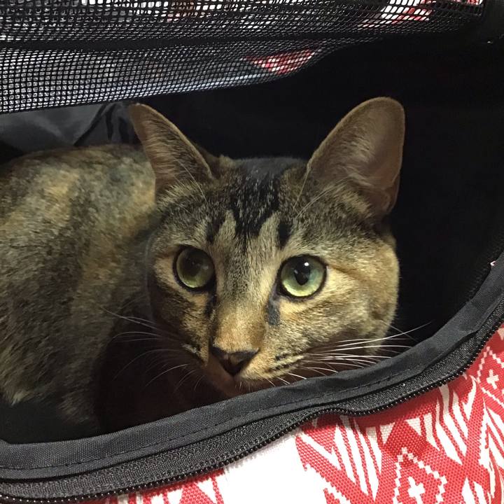 Ecfb24d7 2794 4722 ac9a 8bacae9d3920 1602369561948